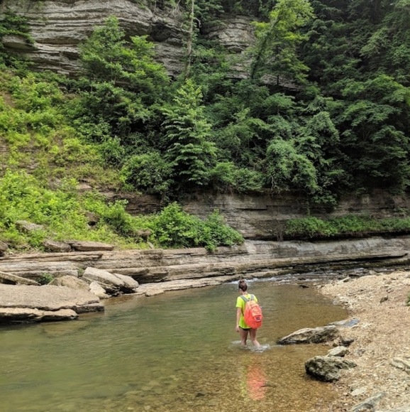 Welcome! - Picture 6 of 16